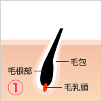 STEP1