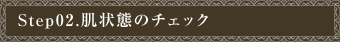 Step02.肌状態のチェック